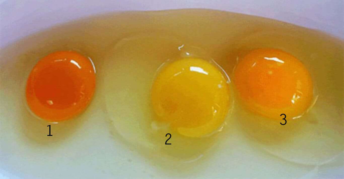 Taboola Ad Example 57992 - Γνωρίζετε ποιο από αυτά τα τρία αυγά είναι το πιο υγ